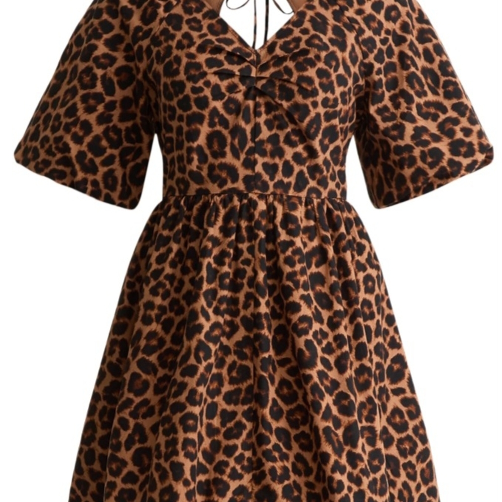 Time and Tru Brown Leopard V-Neck Dress